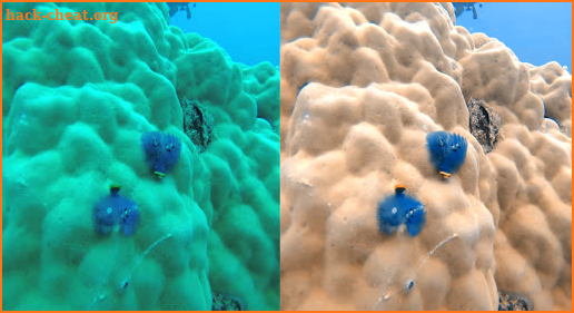 UwEdit - Underwater color correction screenshot