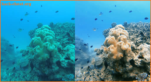 UwEdit - Underwater color correction screenshot