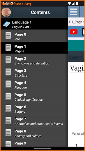Vagina Anatomy screenshot