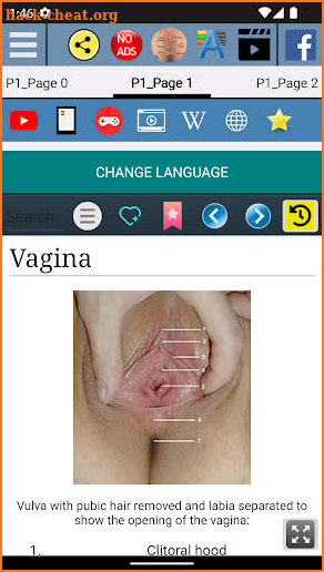 Vagina Anatomy screenshot