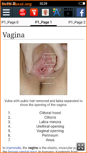 Vagina : Reproductive system screenshot