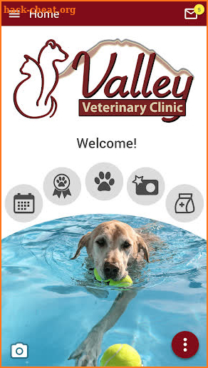 Valley Vet Red Bluff screenshot