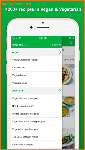 Vegan & Vegetarian Recipes - Healthy Food Recipes screenshot