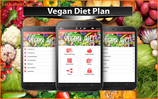Vegan Diet Plan screenshot