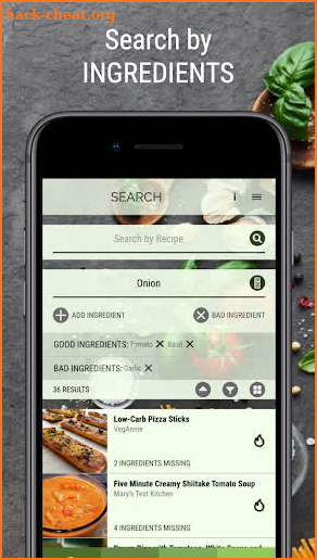 Vegan Recipe Browser screenshot
