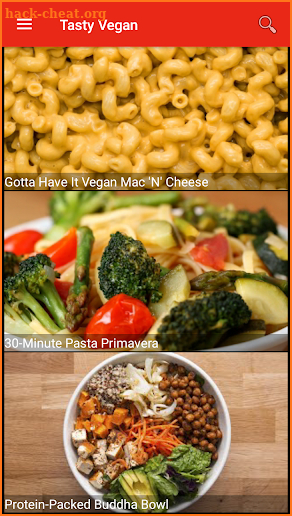 Vegan Recipes screenshot