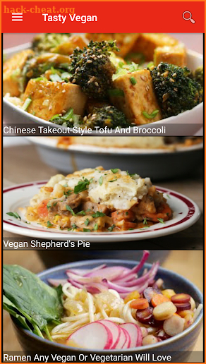 Vegan Recipes screenshot