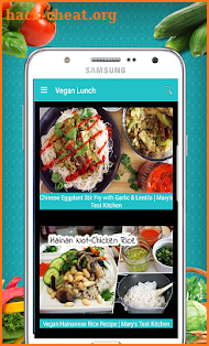Vegan Recipes : Taste of Recipes screenshot