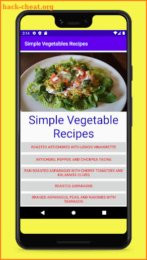 Vegetable Recipes screenshot