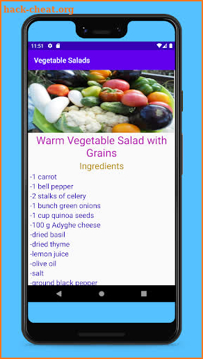 Vegetable Salads screenshot