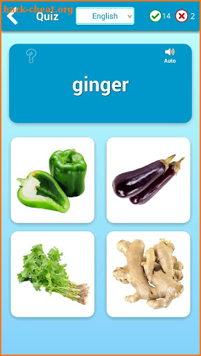 Vegetables Cards PRO (Learn English Faster) screenshot
