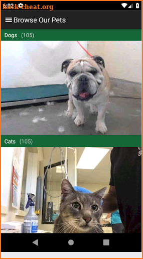 Ventura County NET Animal Services screenshot