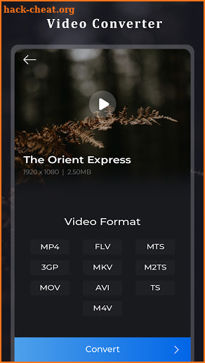 Video Converter, Video to MP3 Converter screenshot