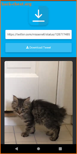 Video Download for Twitter (Free) screenshot