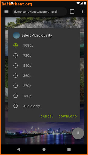 Video Downloader screenshot