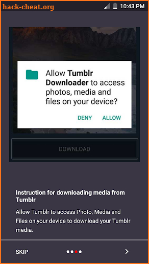 Video downloader for Tumblr screenshot