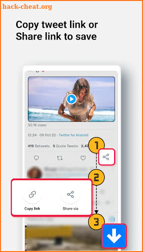 Video downloader for Twitter screenshot