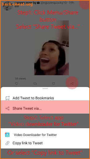 Video Downloader for Twitter 2019 screenshot