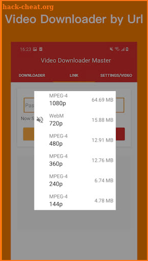 Video Downloader Master screenshot