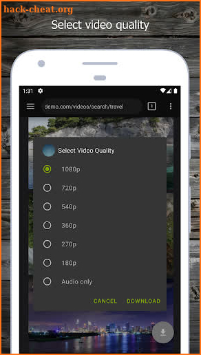 Video Downloader Pro screenshot