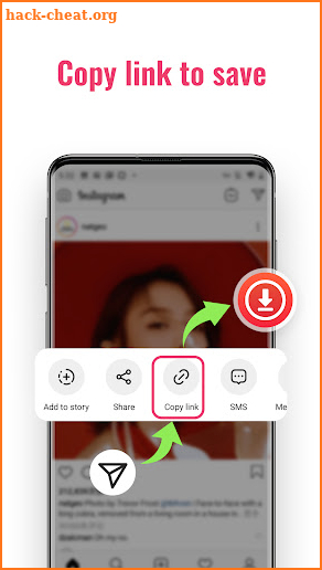 Video downloader: Story Saver screenshot