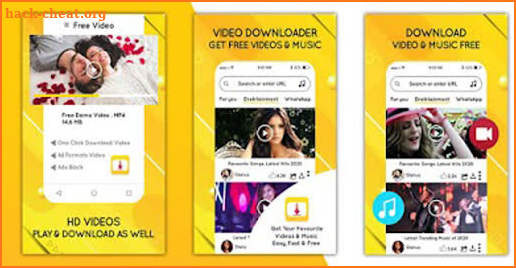 Video Downloader Tips screenshot
