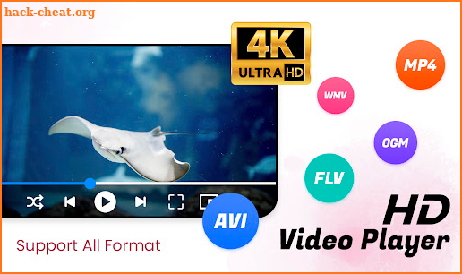 Video Player - All Format screenshot