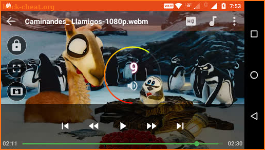 Video Player & Downloader screenshot