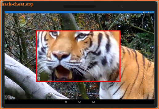 Video Player - Magnifier screenshot