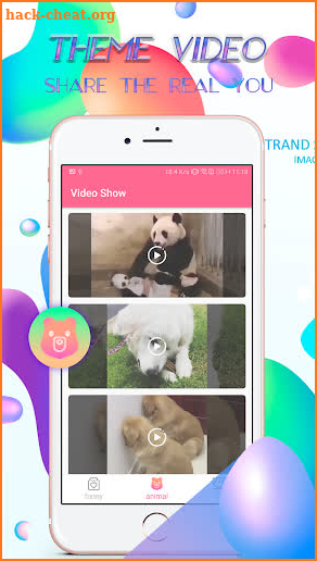 Video Show screenshot