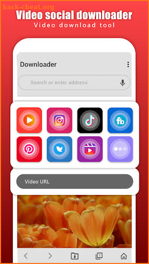 Video social downloader screenshot