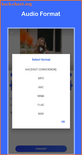 Video to MP3 Convert screenshot