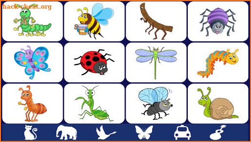 Video Touch - Bugs & Insects screenshot