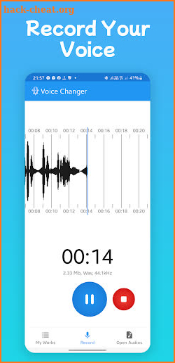Video Voice Changer Pro screenshot