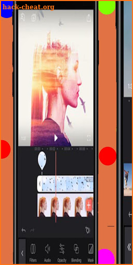 VideoLeap Mini screenshot