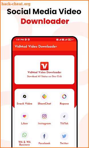 VidMad Video Downloader screenshot
