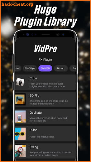 VidPro screenshot
