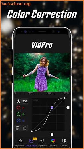 VidPro screenshot