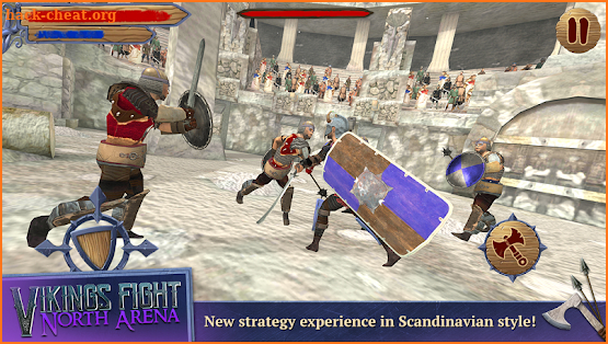 Vikings Fight: North Arena screenshot