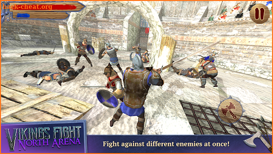 Vikings Fight: North Arena screenshot