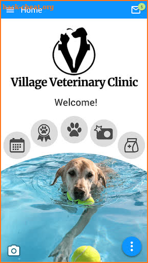 Village Veterinary Clinic screenshot