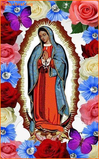 Virgen de Guadalupe screenshot