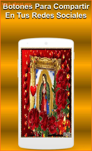 Virgen De Guadalupe Background Movimiento screenshot