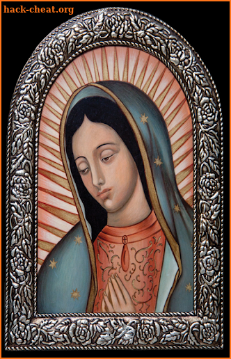 Virgen De Guadalupe Con Rosas screenshot