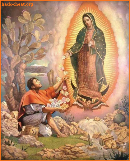 Virgen De Guadalupe Imagenes screenshot
