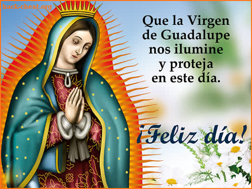Virgen de Guadalupe Imagenes y Frases screenshot
