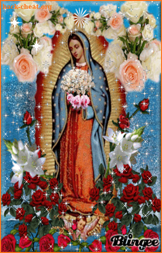 Virgen De Guadalupe Y Rosas screenshot
