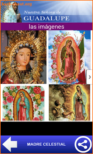 VIRGEN GUADALUPE MEXICO screenshot