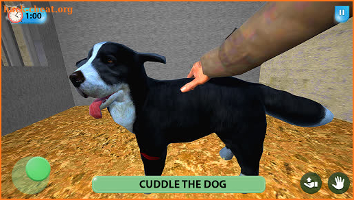 Virtual Animal Shelter Buddies screenshot