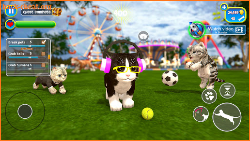 Virtual Cat Simulator : Cute Kitty screenshot